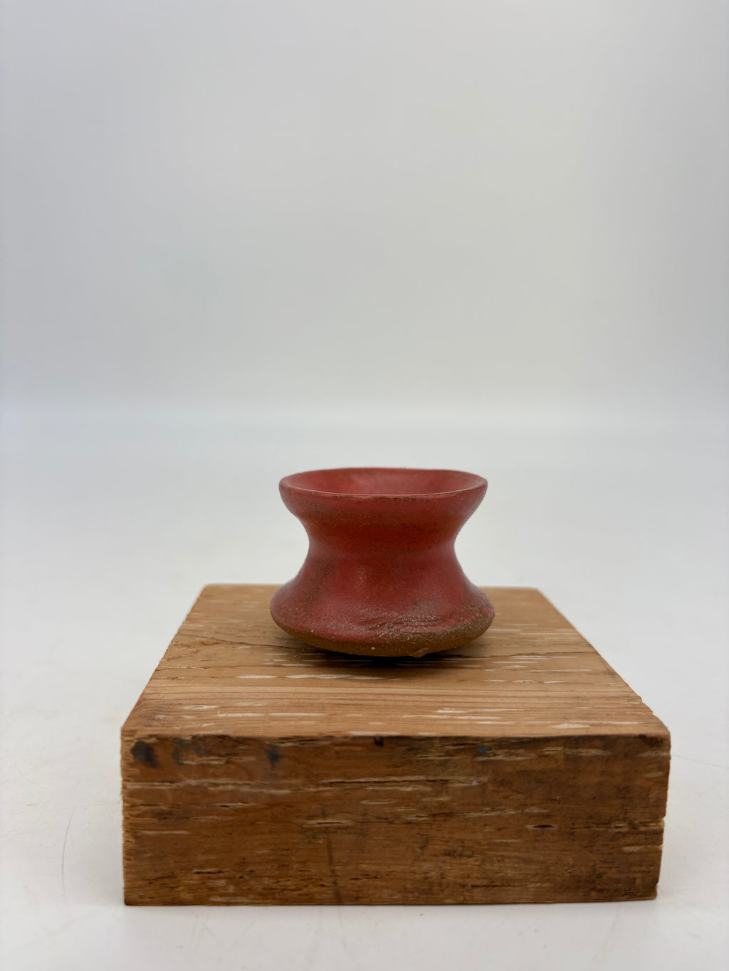 Coral Whisker Holder