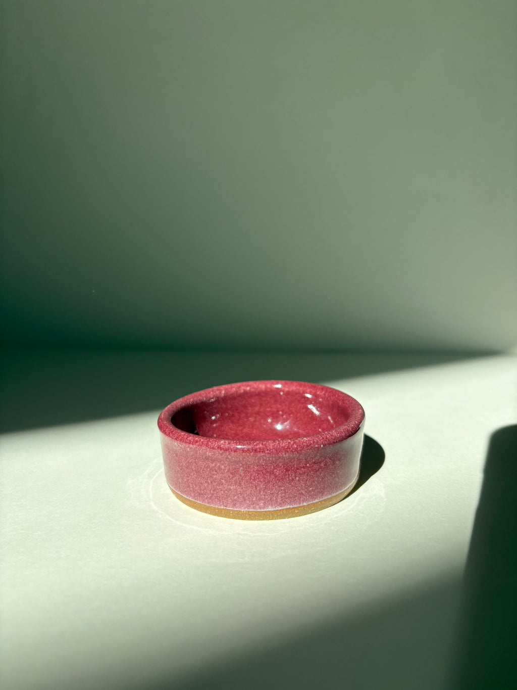 Cranberry Sauce cup - 35